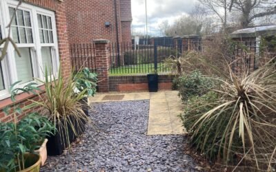 Landscaping Contractors: How to Choose the Right Team for Your Garden